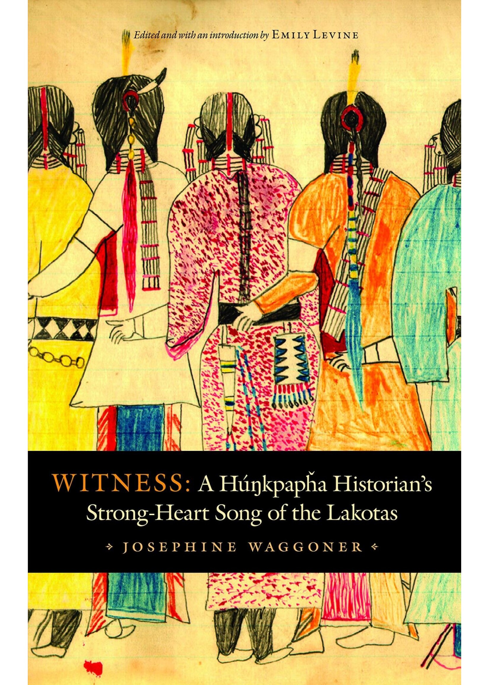 Witness: A Hunkpapha Historian's Strong-Heart Song of the Lakotas