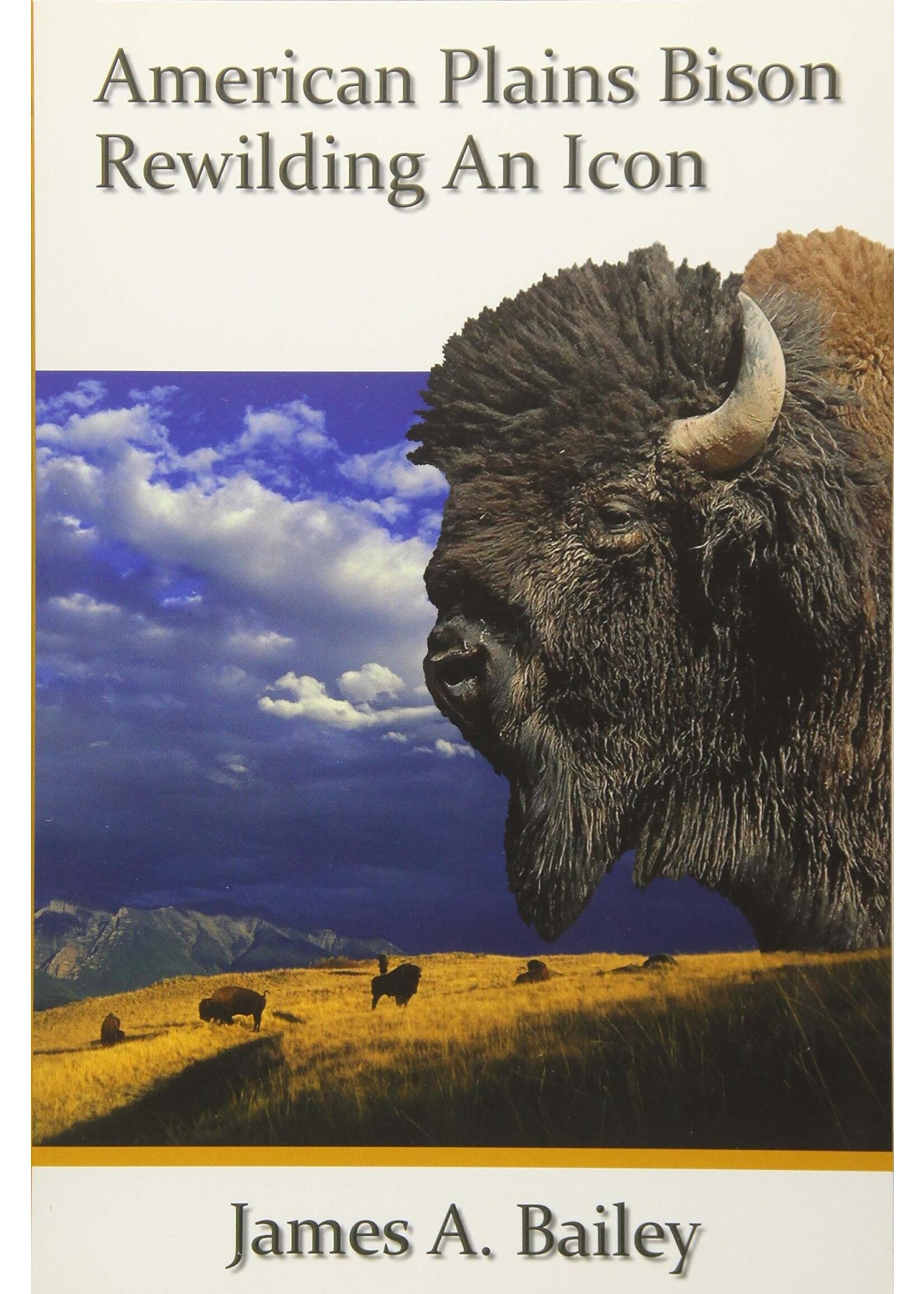 American Plains Bison: Rewilding an Icon