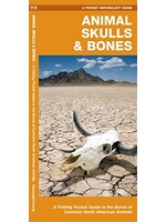 Animal Skulls & Bones Guide