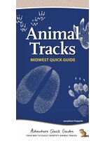 Animal Tracks of the Midwest: Quick Guide