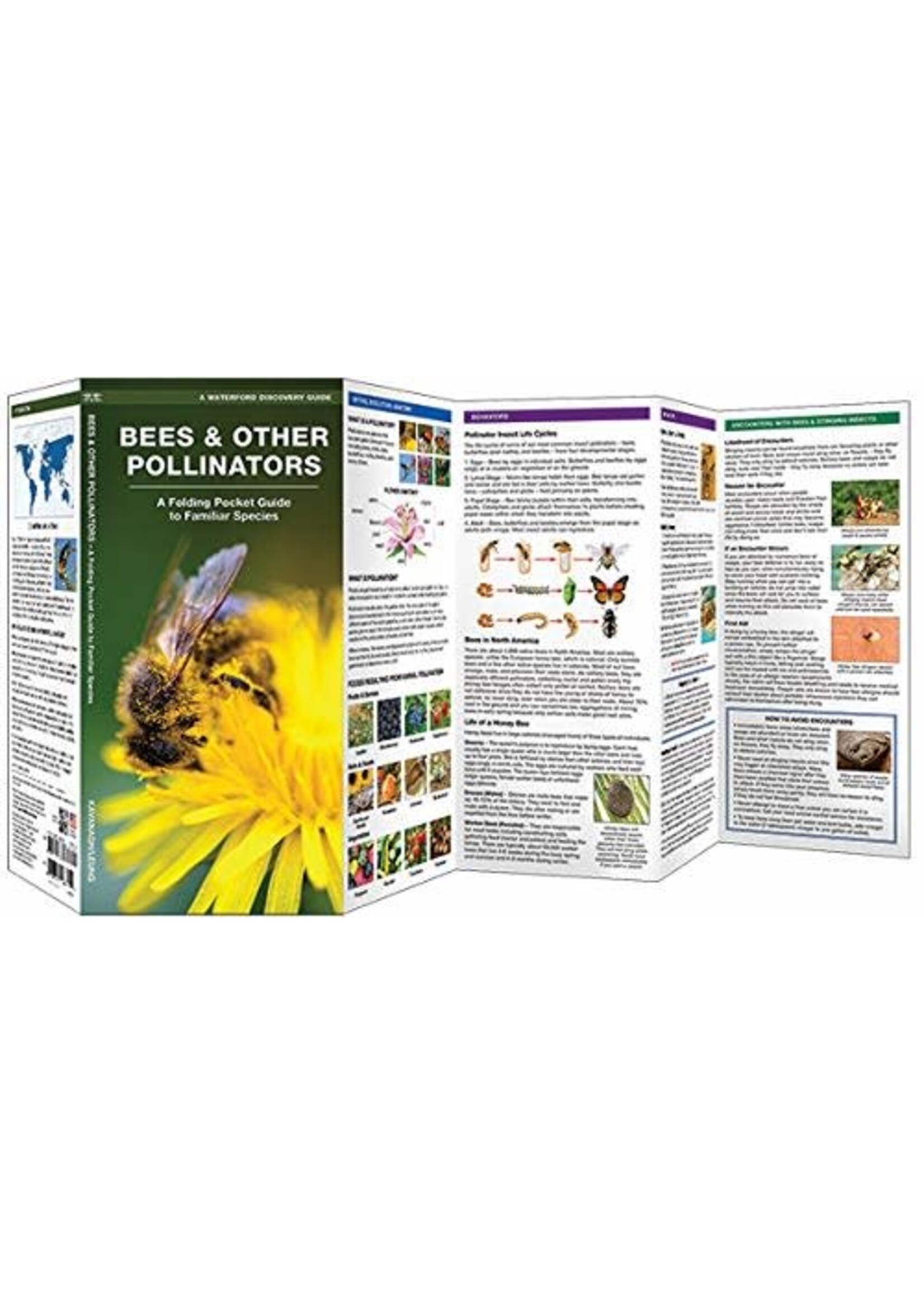 Bees & Other Pollinators: A Folding Pocket Guide to Familiar Species