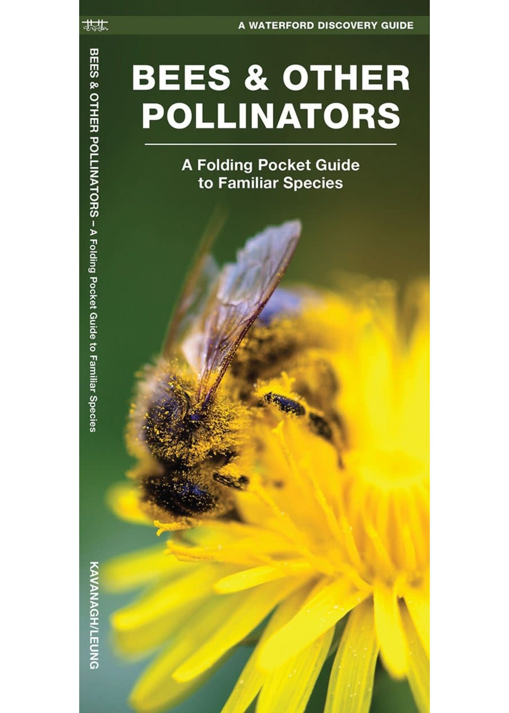 Bees & Other Pollinators: A Folding Pocket Guide to Familiar Species