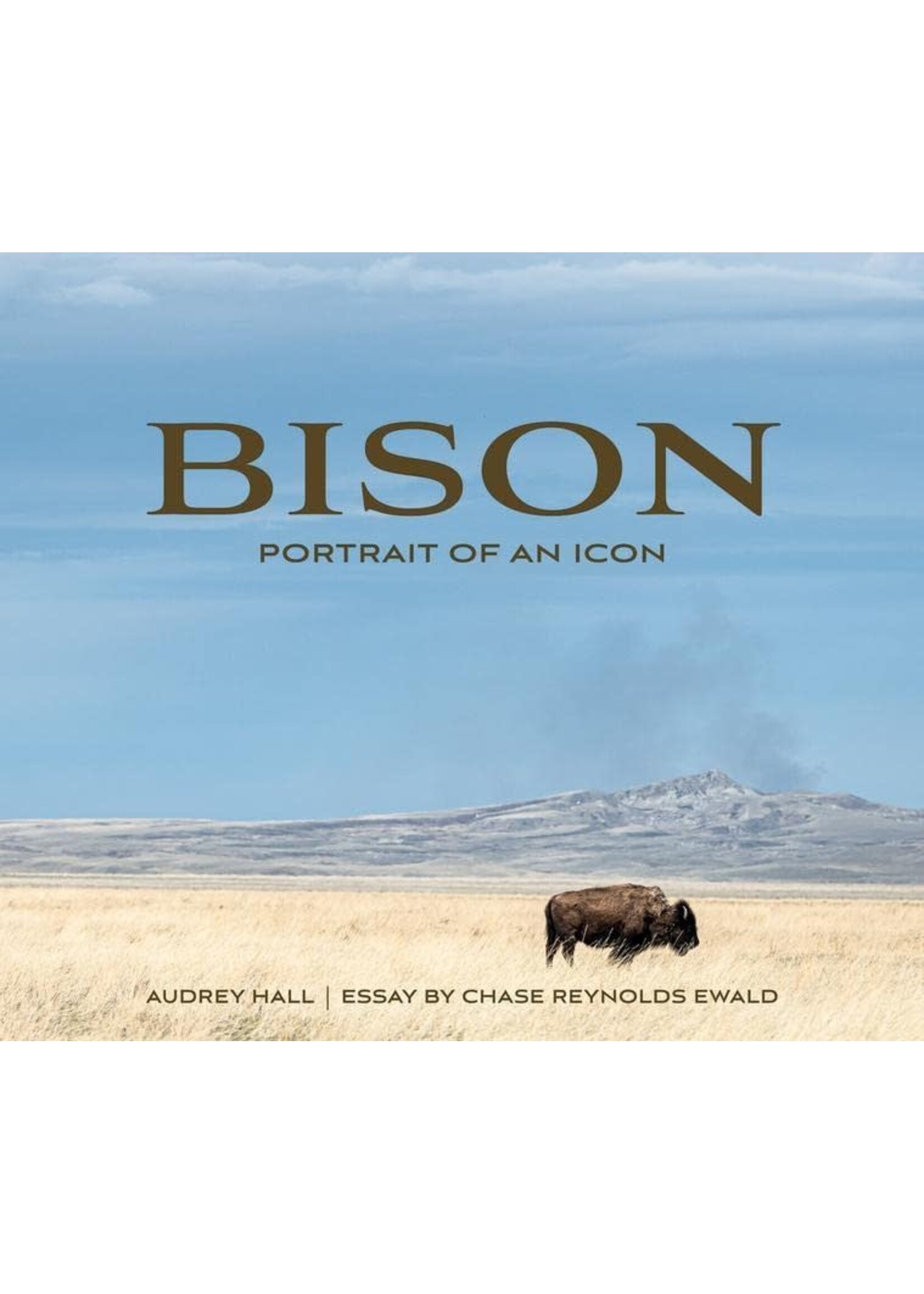 Bison: Portrait Of An Icon