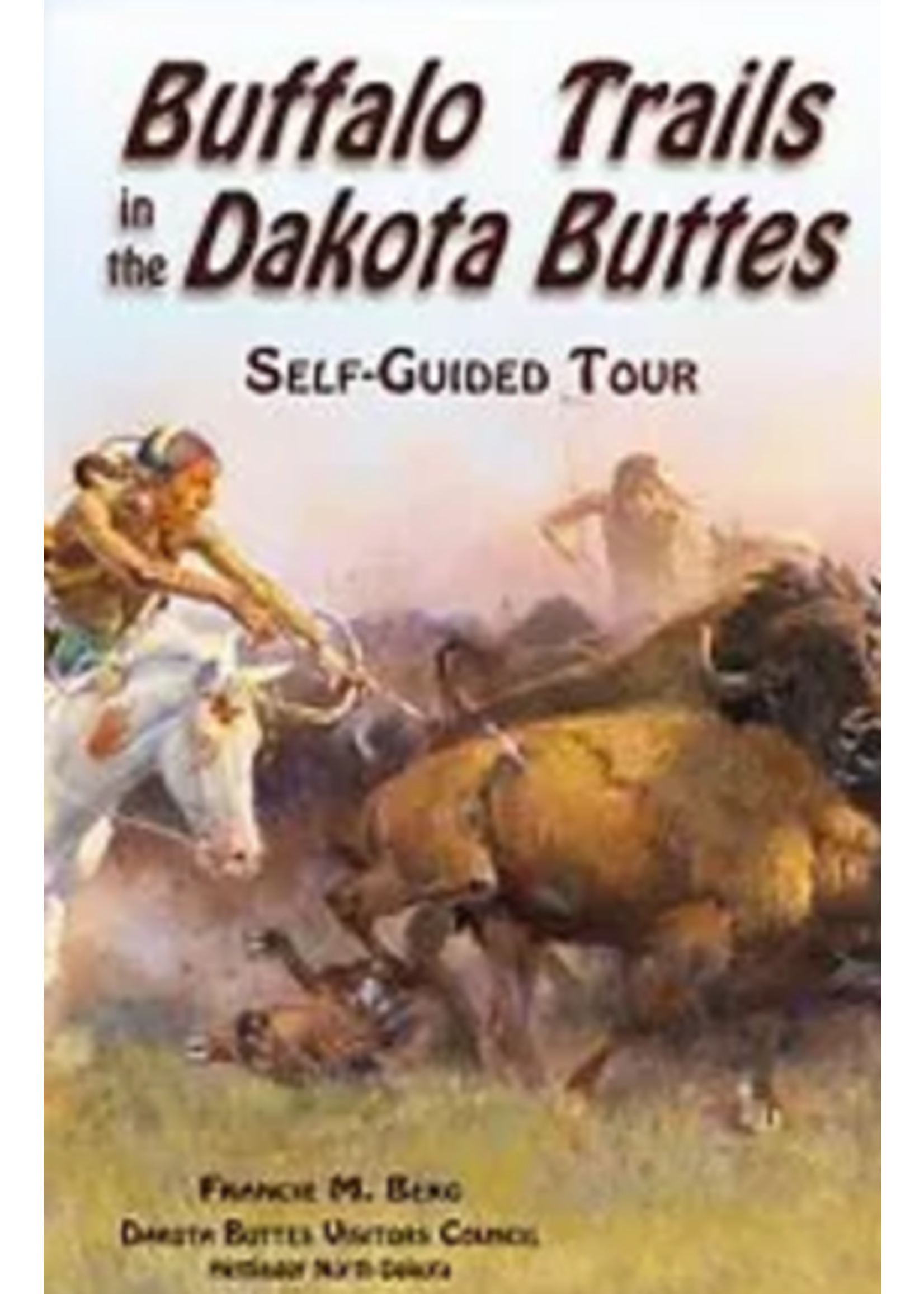 Buffalo Trails in the Dakota Buttes