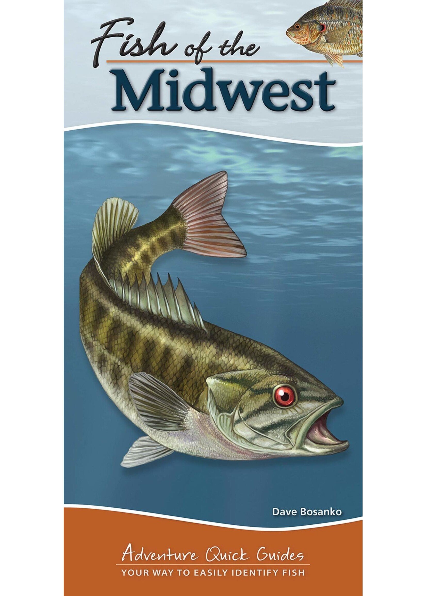 Fish of the Midwest: Your Way to Easily Identify Fish: Quick Adventure Guide