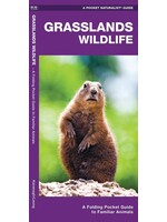 Grasslands Wildlife: An introduction to Familiar Species Found in Prairie Grasslands Guide