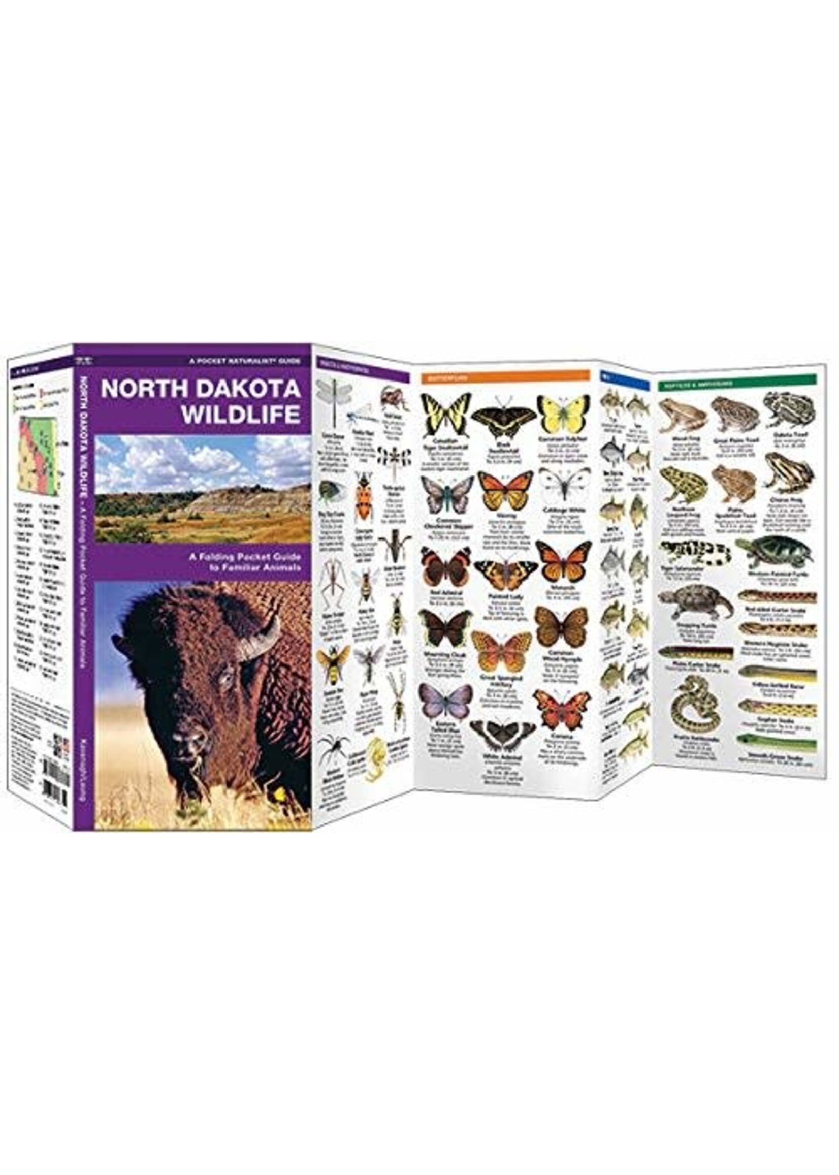 North Dakota Wildlife: A Folding Pocket Guide to Familiar Animals