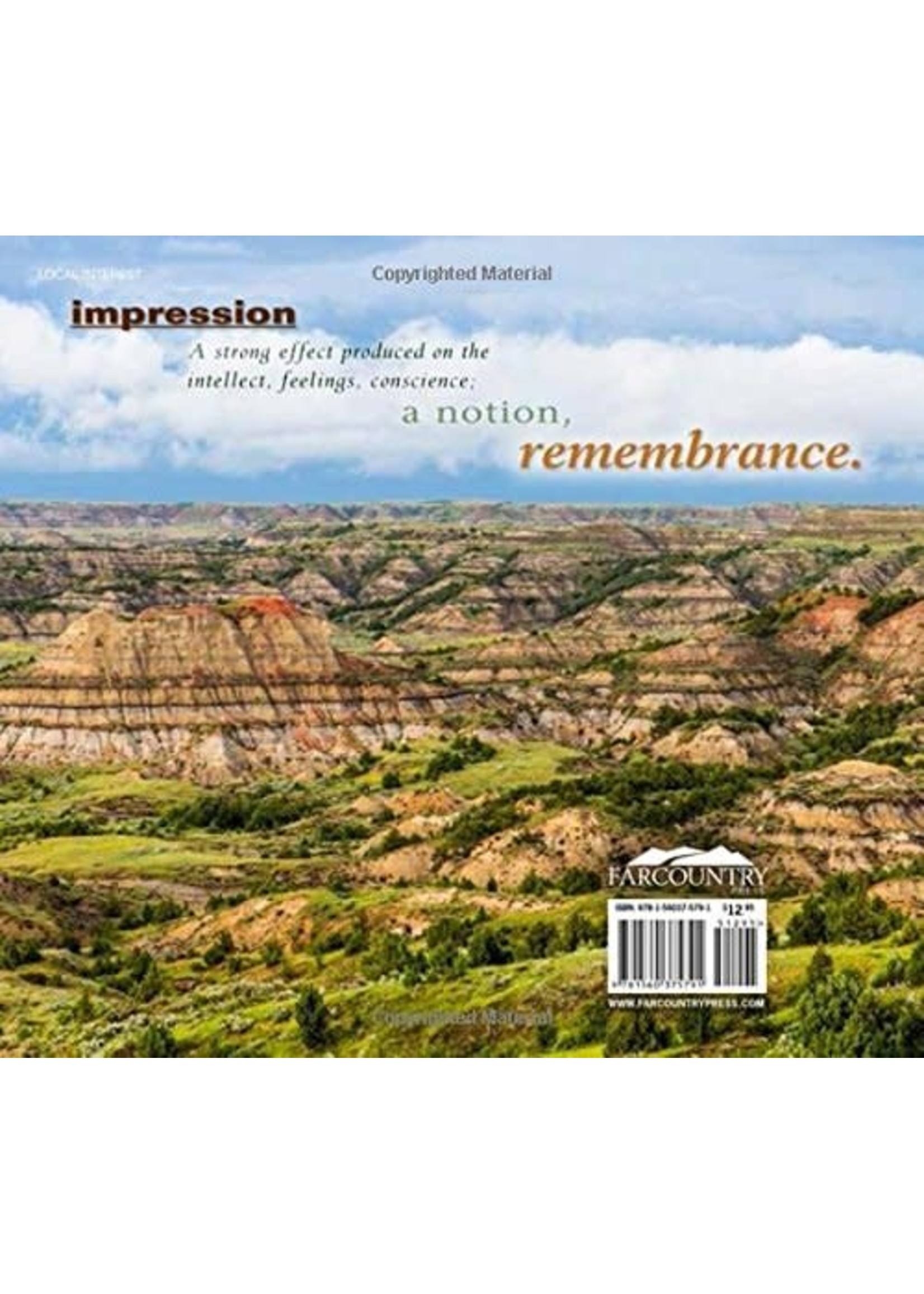 Badlands Impressions