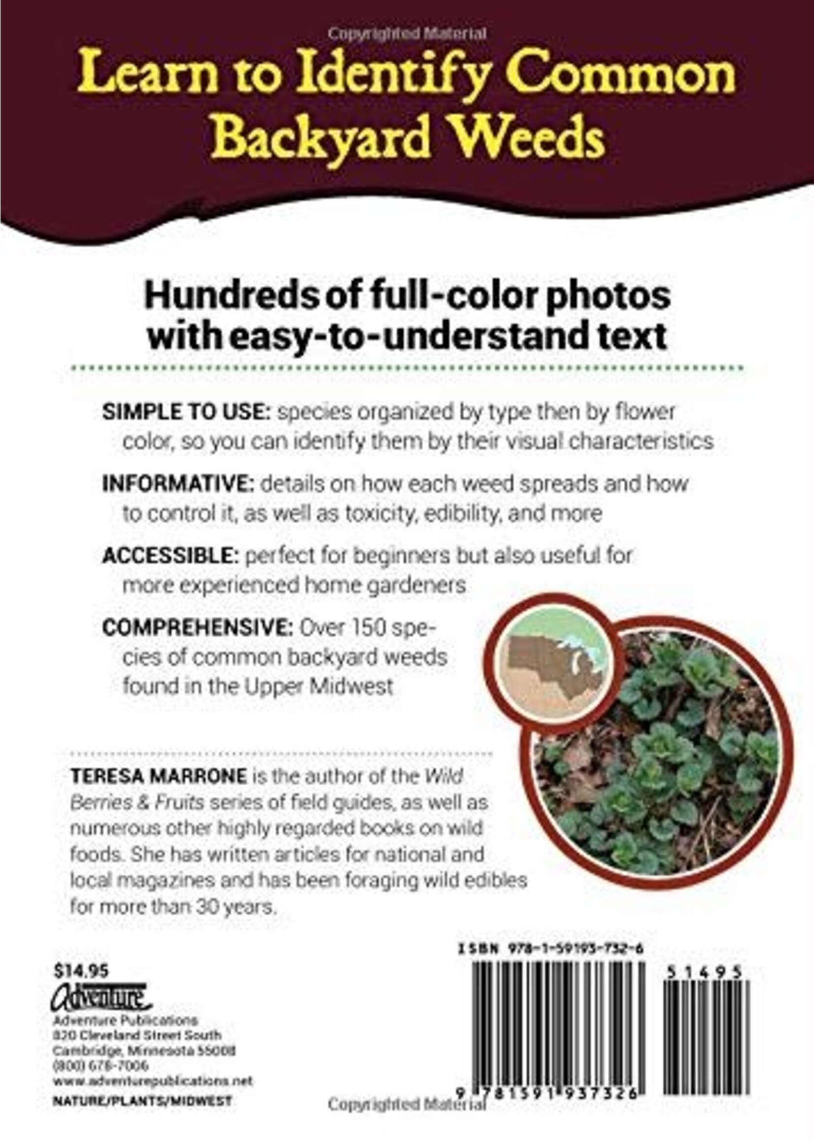 Common Backyard Weeds of the Upper Midwest