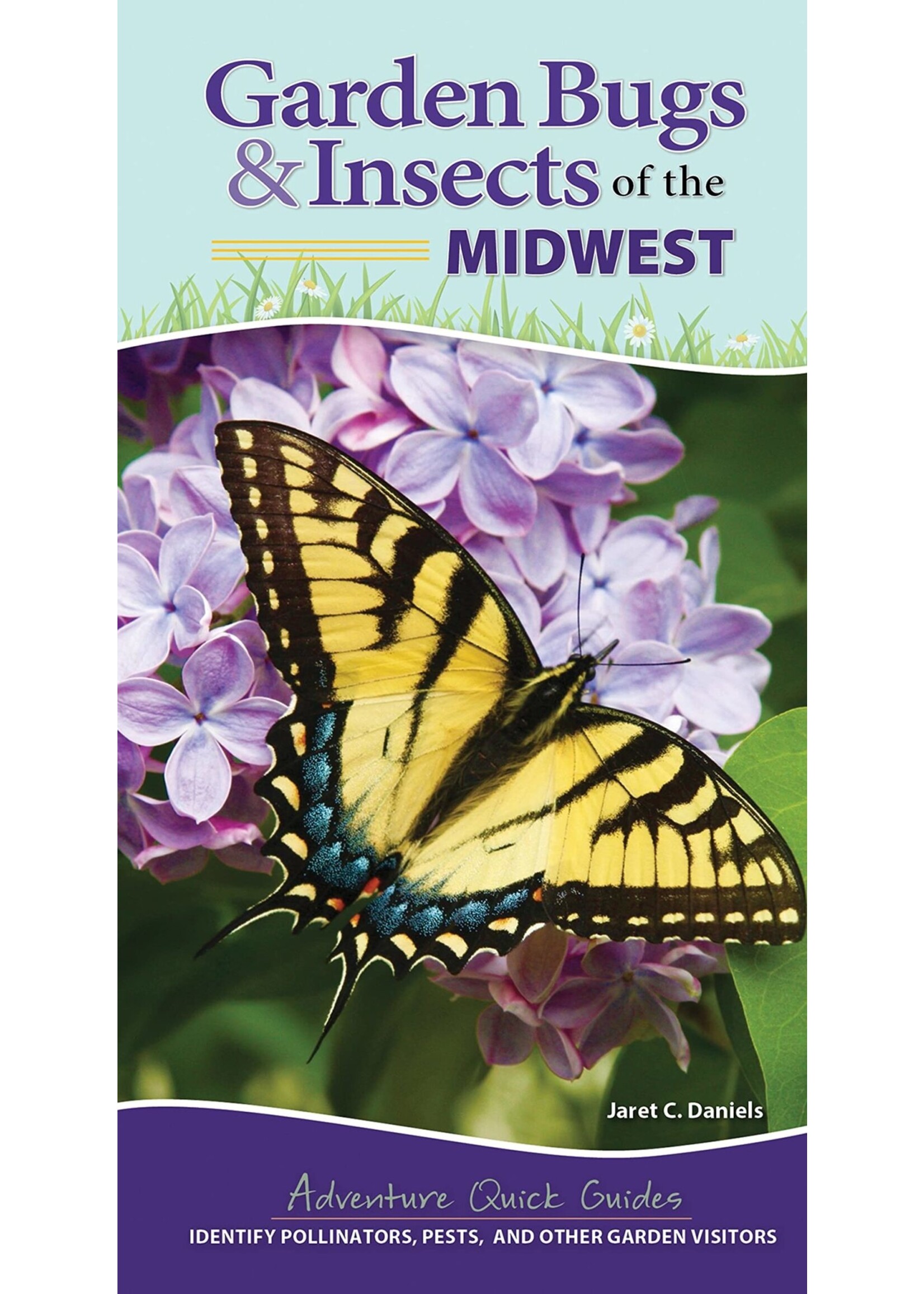 Garden Bugs & Insects of the Midwest: Identify Pollinators, Pests, and Other Garden Visitors: Quick Adventure Guide