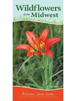 Wildflowers of Midwest: Your Way to Easily Identify Wildflowers: Adventure Quick Guides