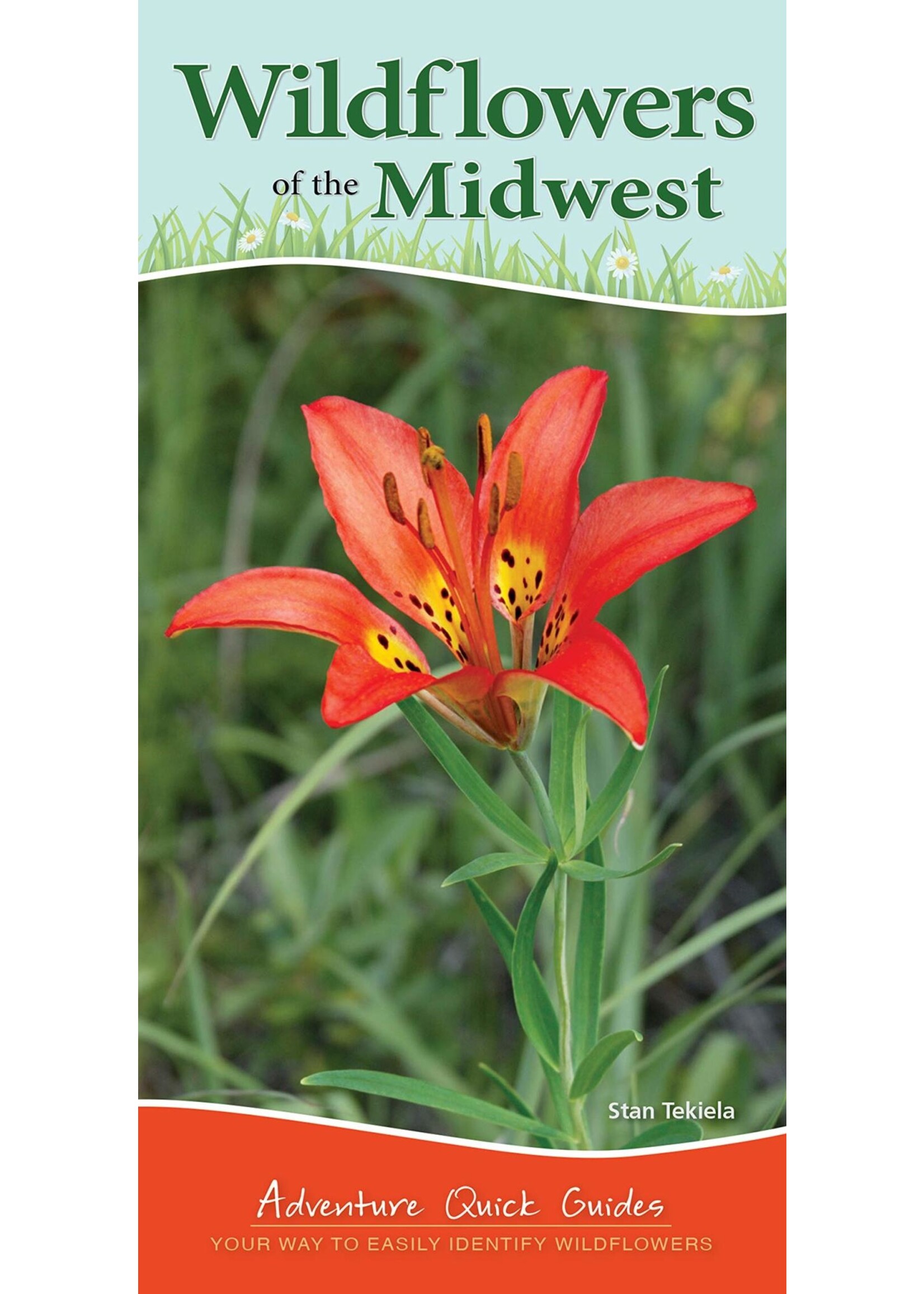 Wildflowers of Midwest: Your Way to Easily Identify Wildflowers: Adventure Quick Guides