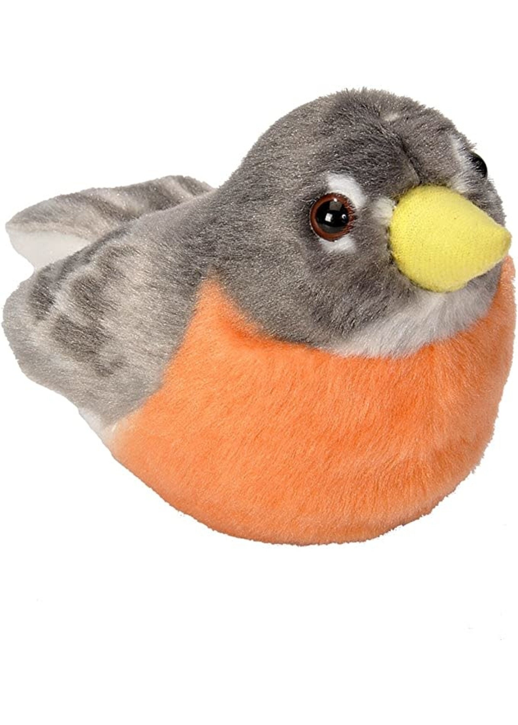 Audubon II American Robin: Bird with Sound