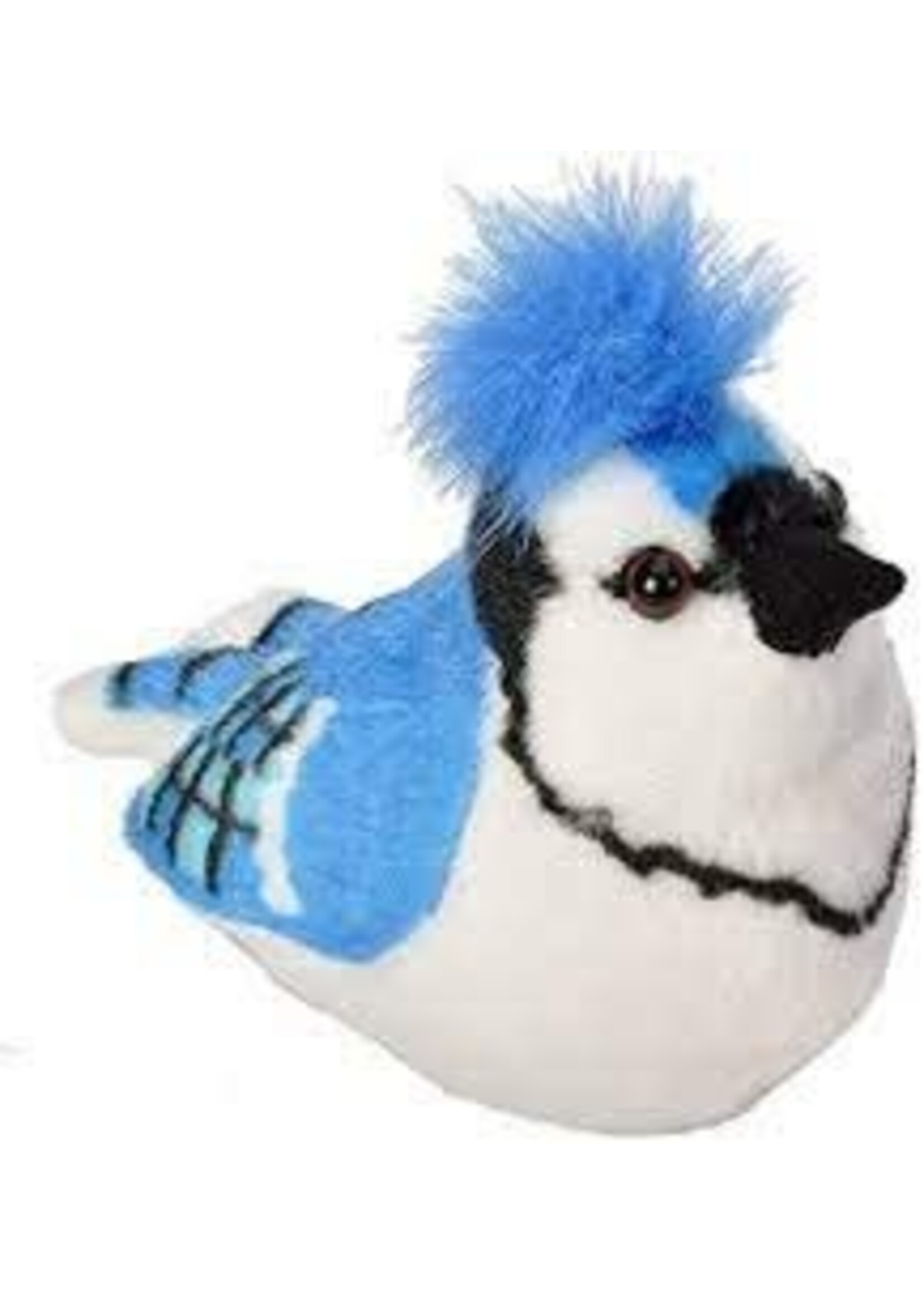 Audubon II Blue Jay: Bird with Sound