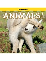 Funny Animals!