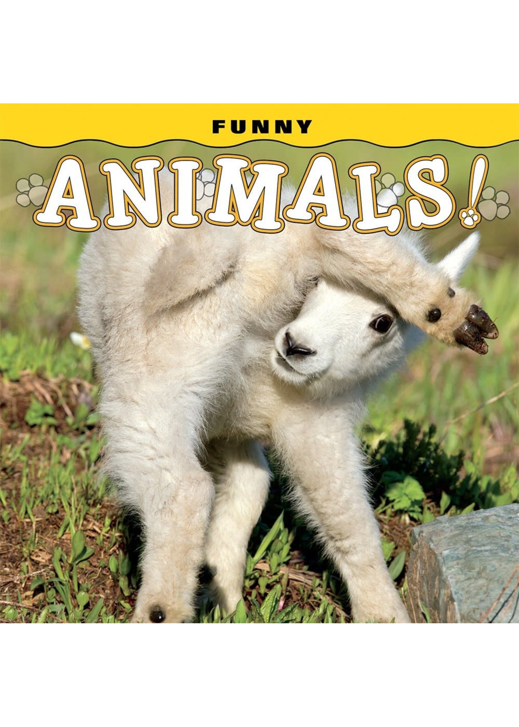 Funny Animals!