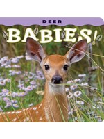 Deer Babies!