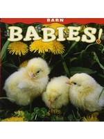 Barn Babies!