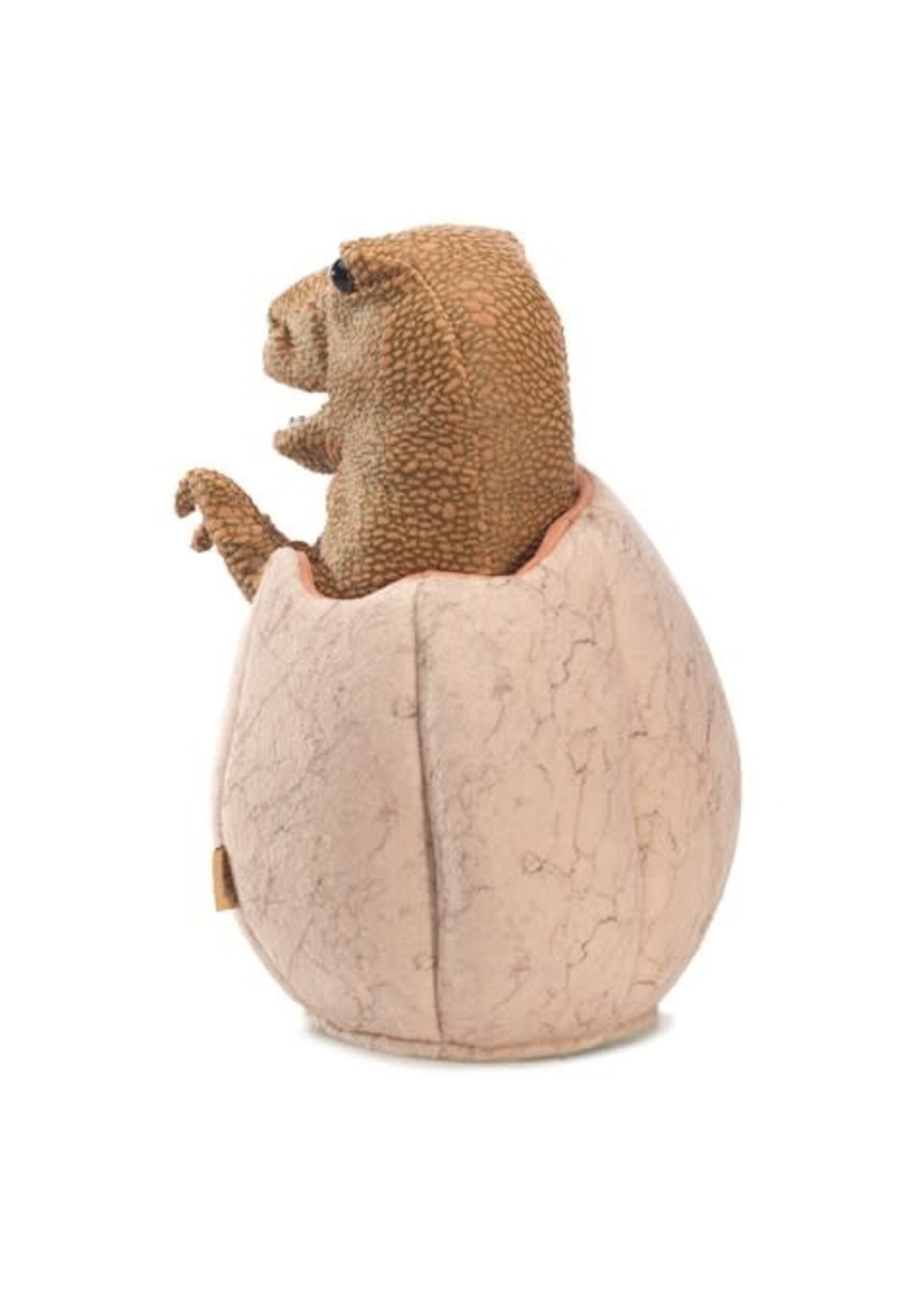 Dinosaur Egg Puppet