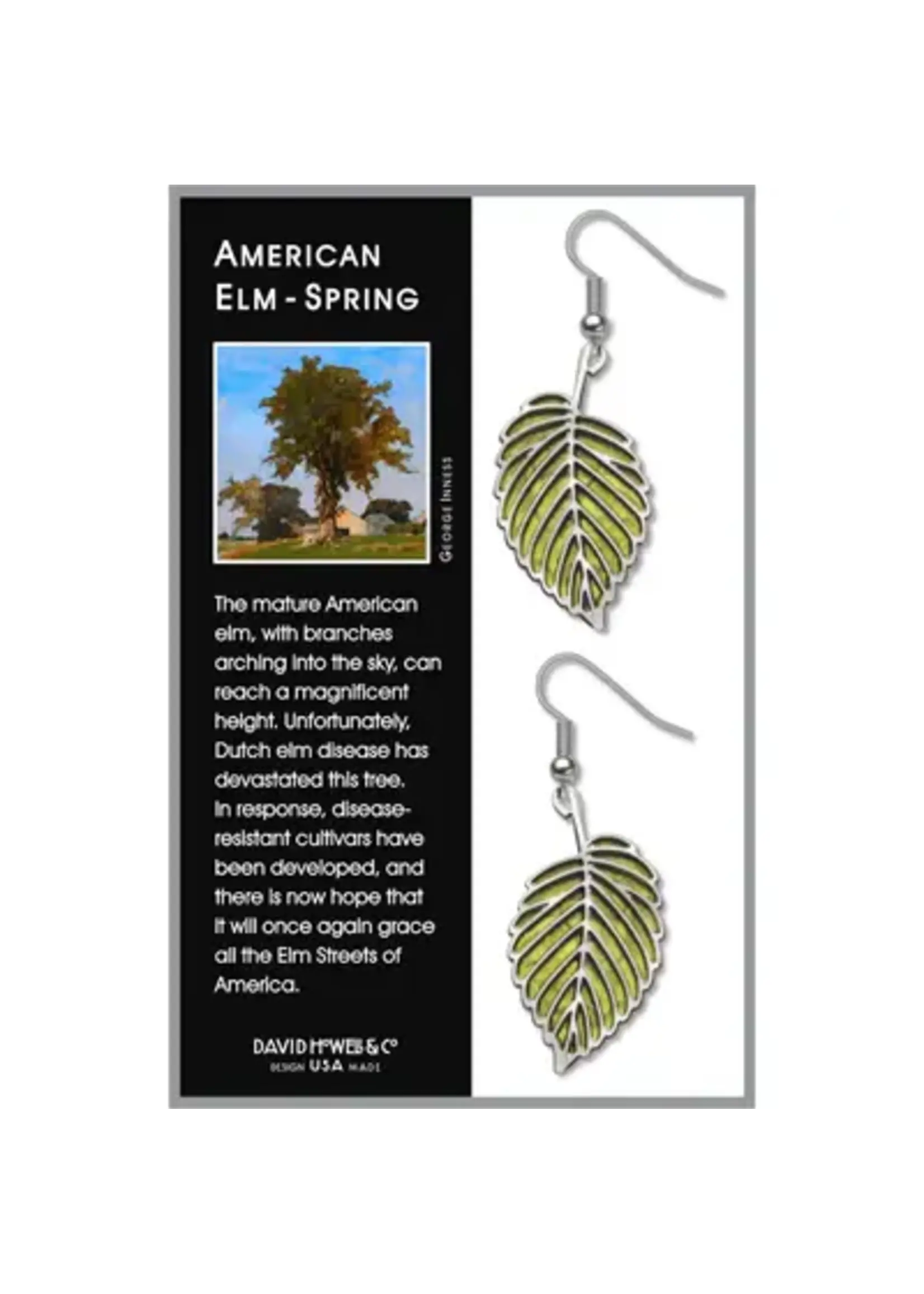 American Elm Leaf in Spring Earrings (Silver)