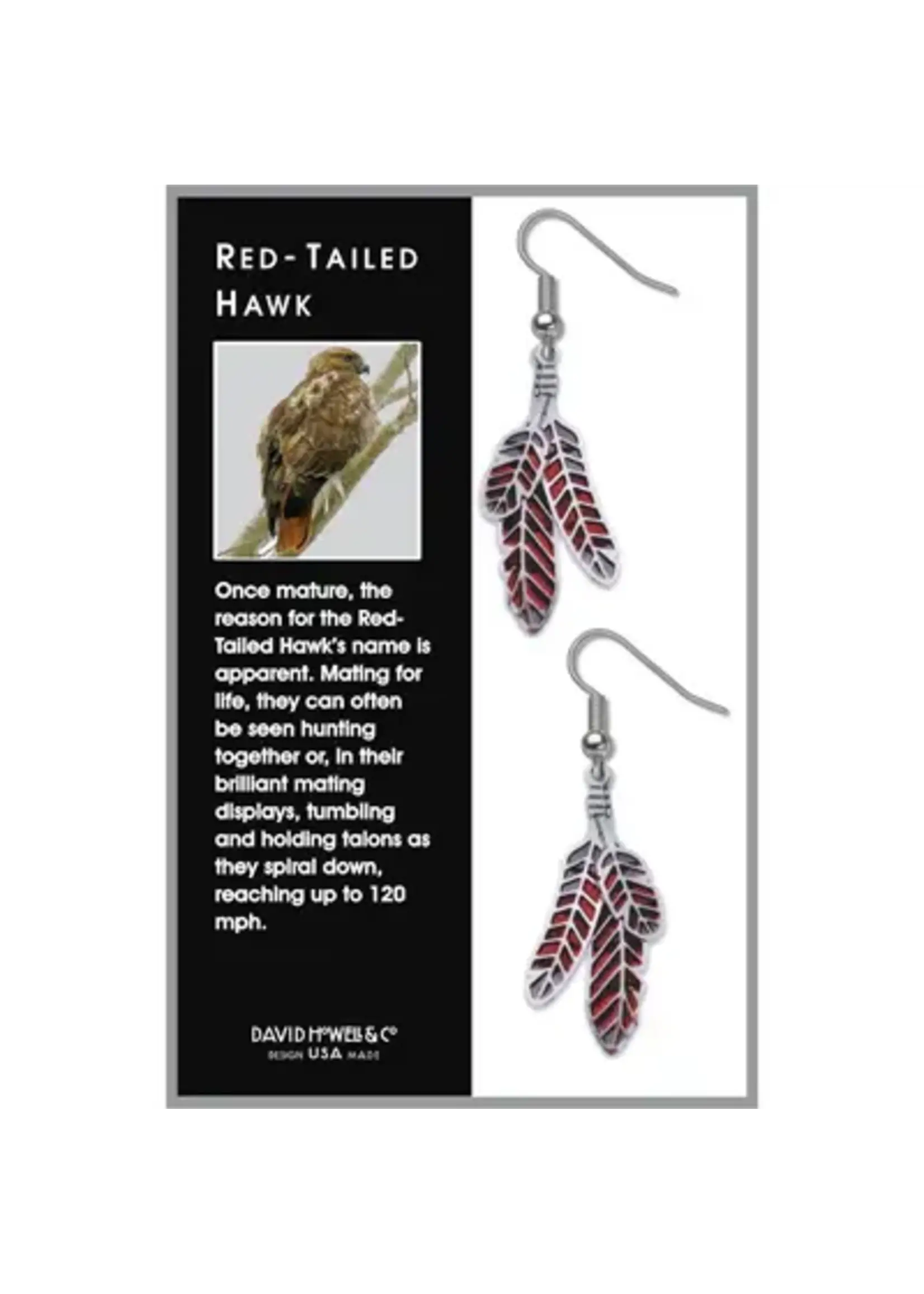 Red Tailed Hawk Feathers Earrings