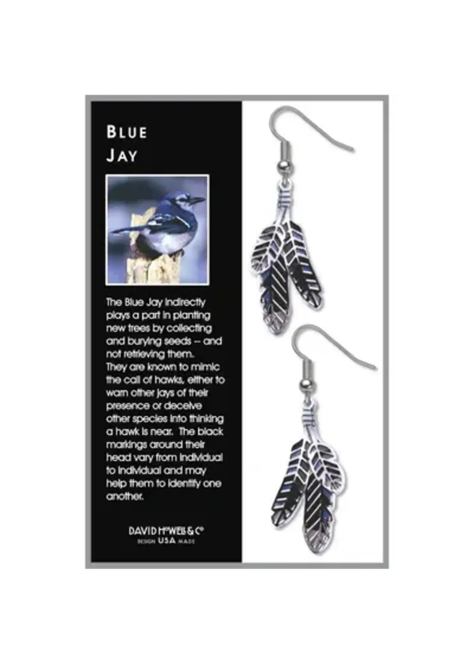 Blue Jay Feathers Earrings