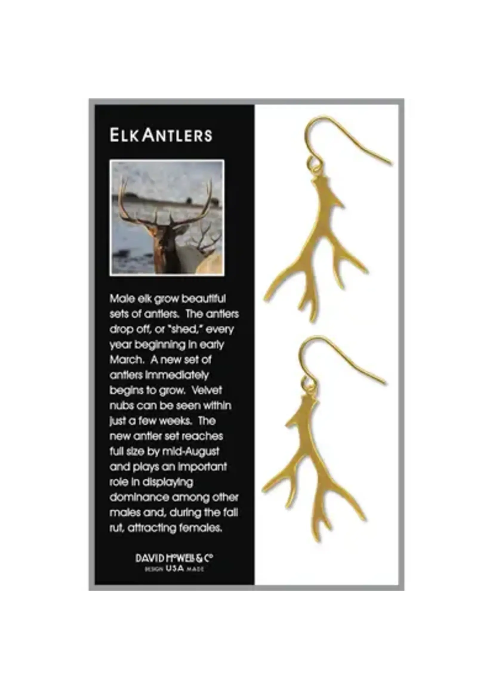 Elk Antler Earrings