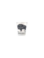 North Dakota Graffiti Buffalo Shot Glass