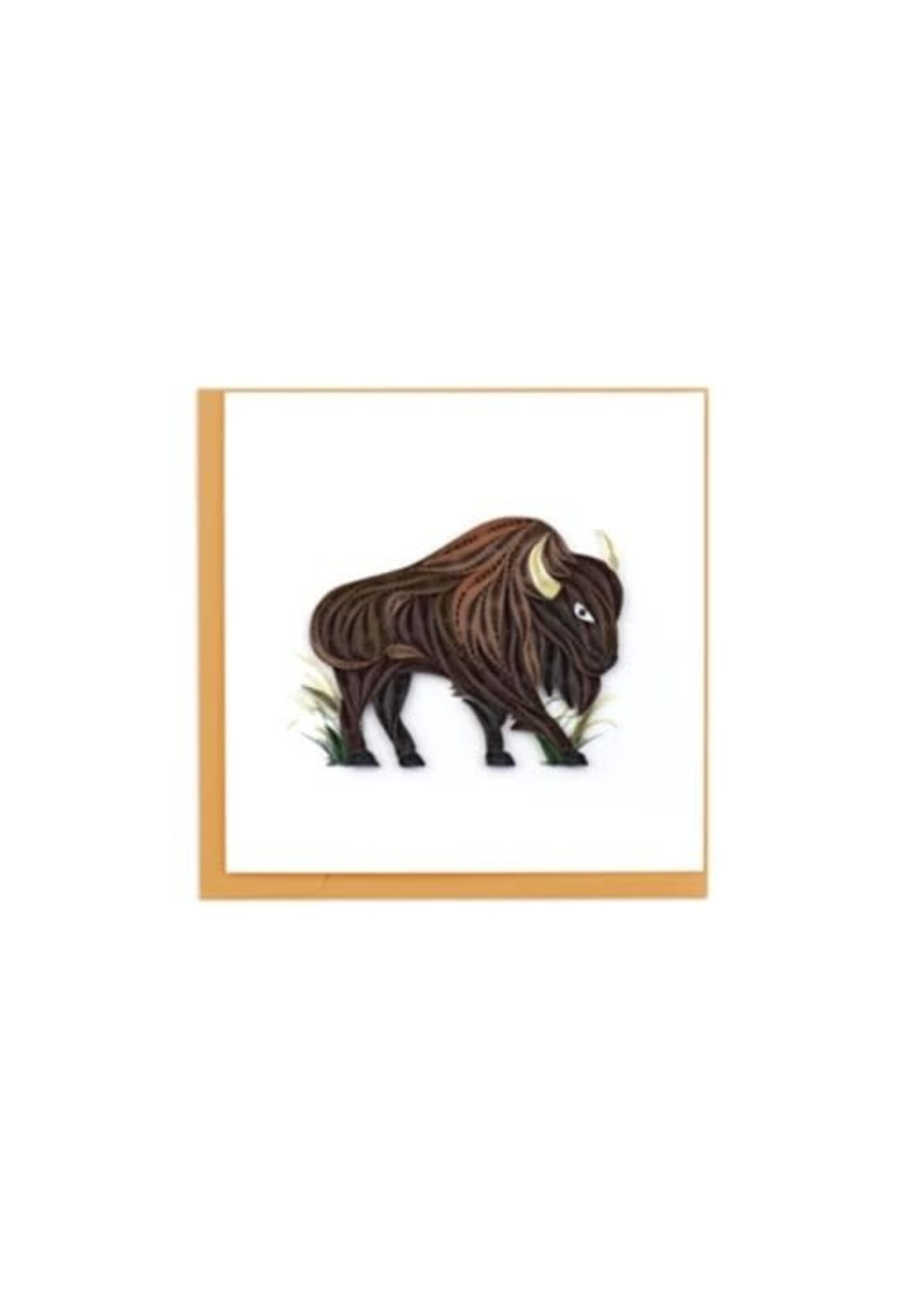 Bison Blank Greeting Card
