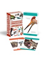 Our World in Pictures Dinosaurs and Other Prehistoric Creatures Flash Cards