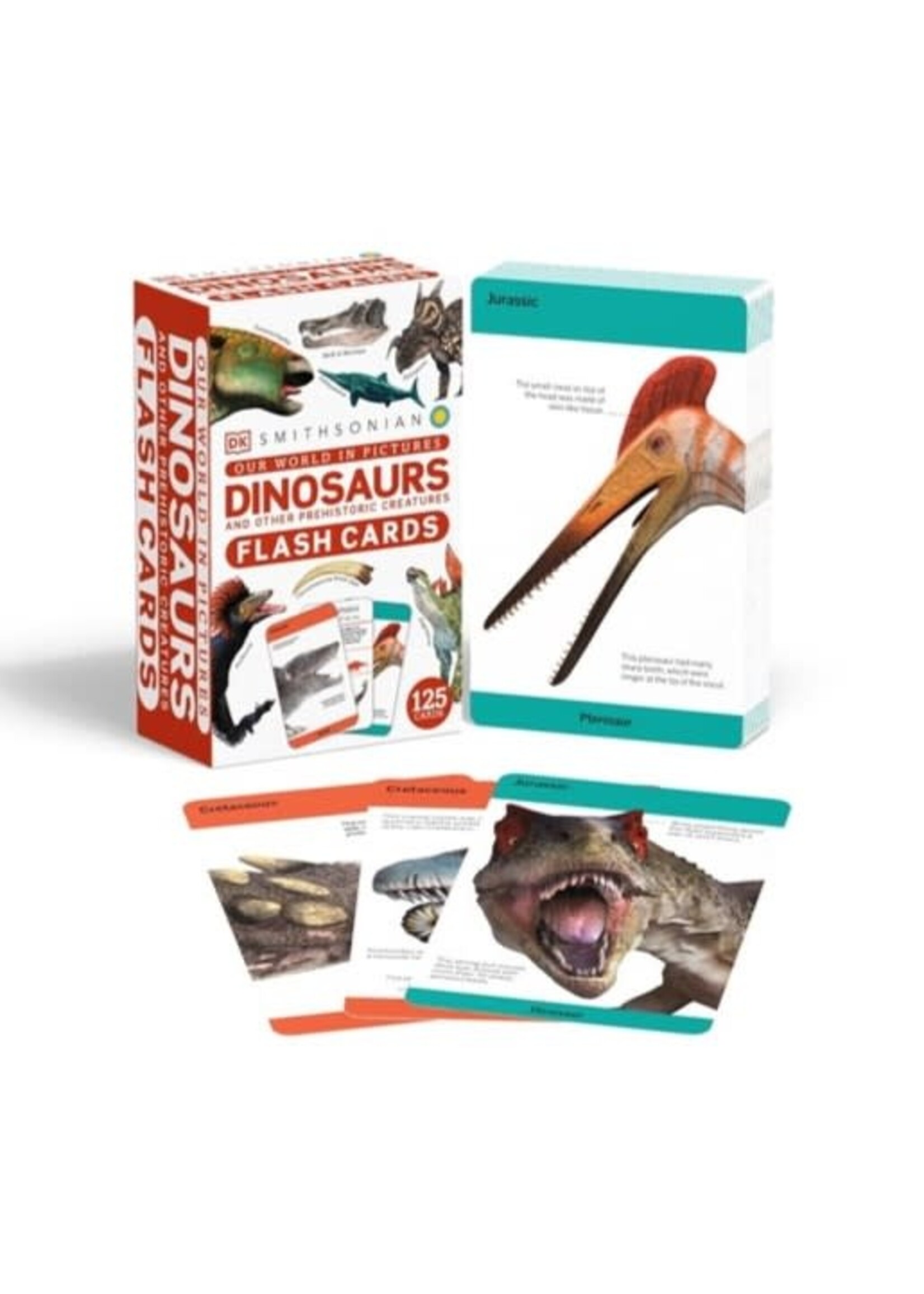 Our World in Pictures Dinosaurs and Other Prehistoric Creatures Flash Cards