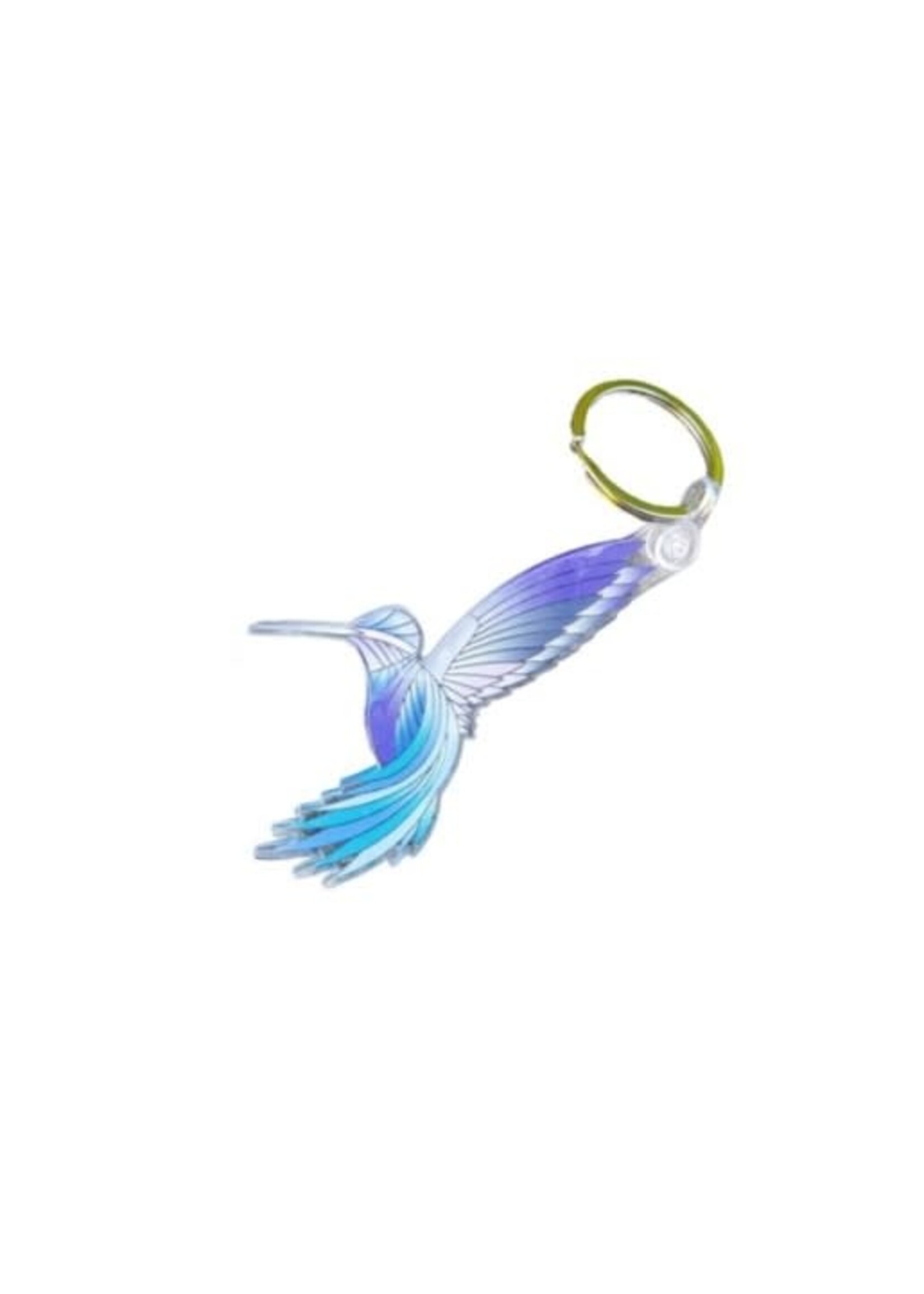 Song of the Hummingbird Art Keychain