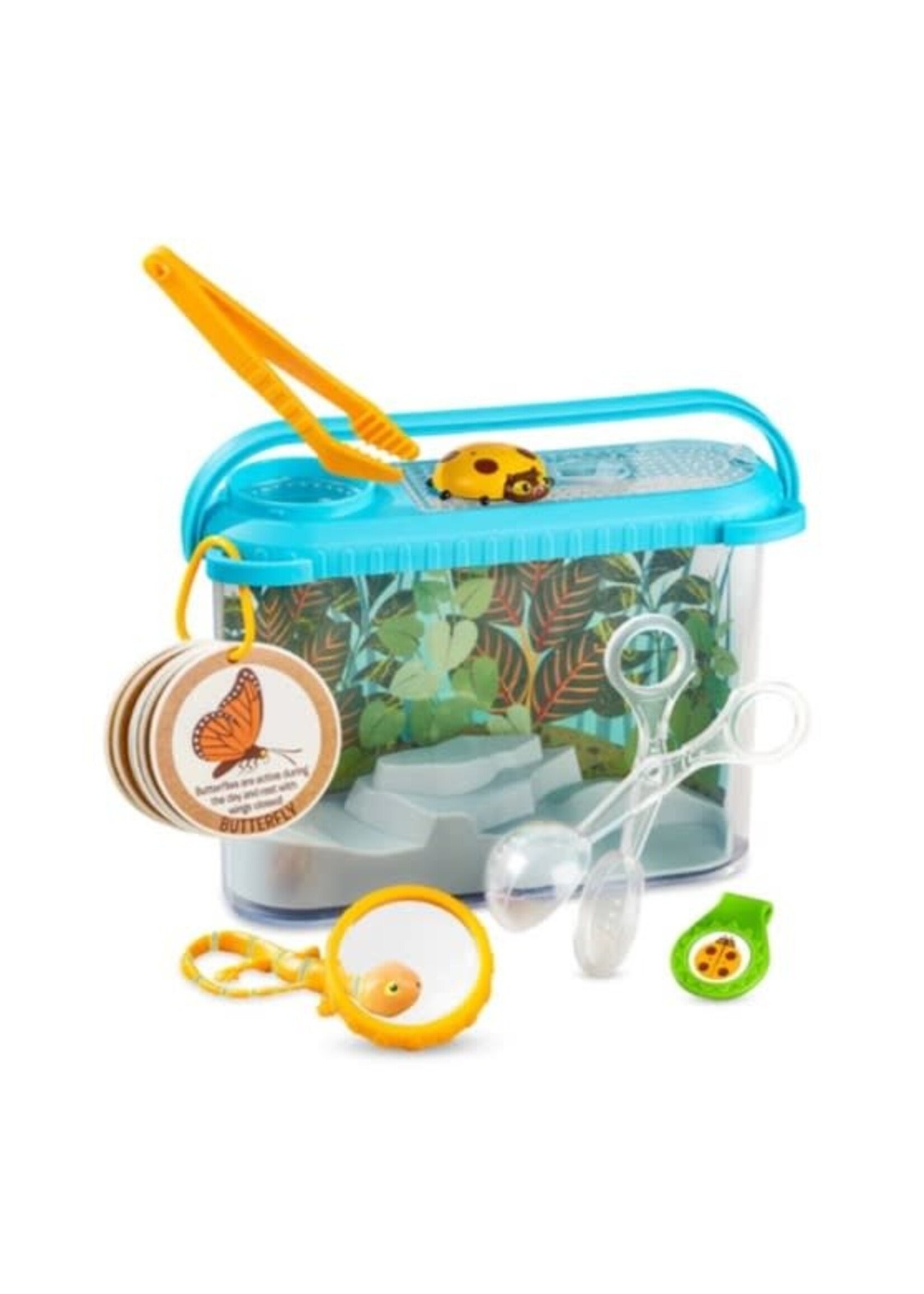 Let's Explore: Terrarium Observations Play Set