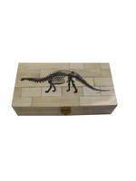 Bone Box: Brontosaurus 6.25"
