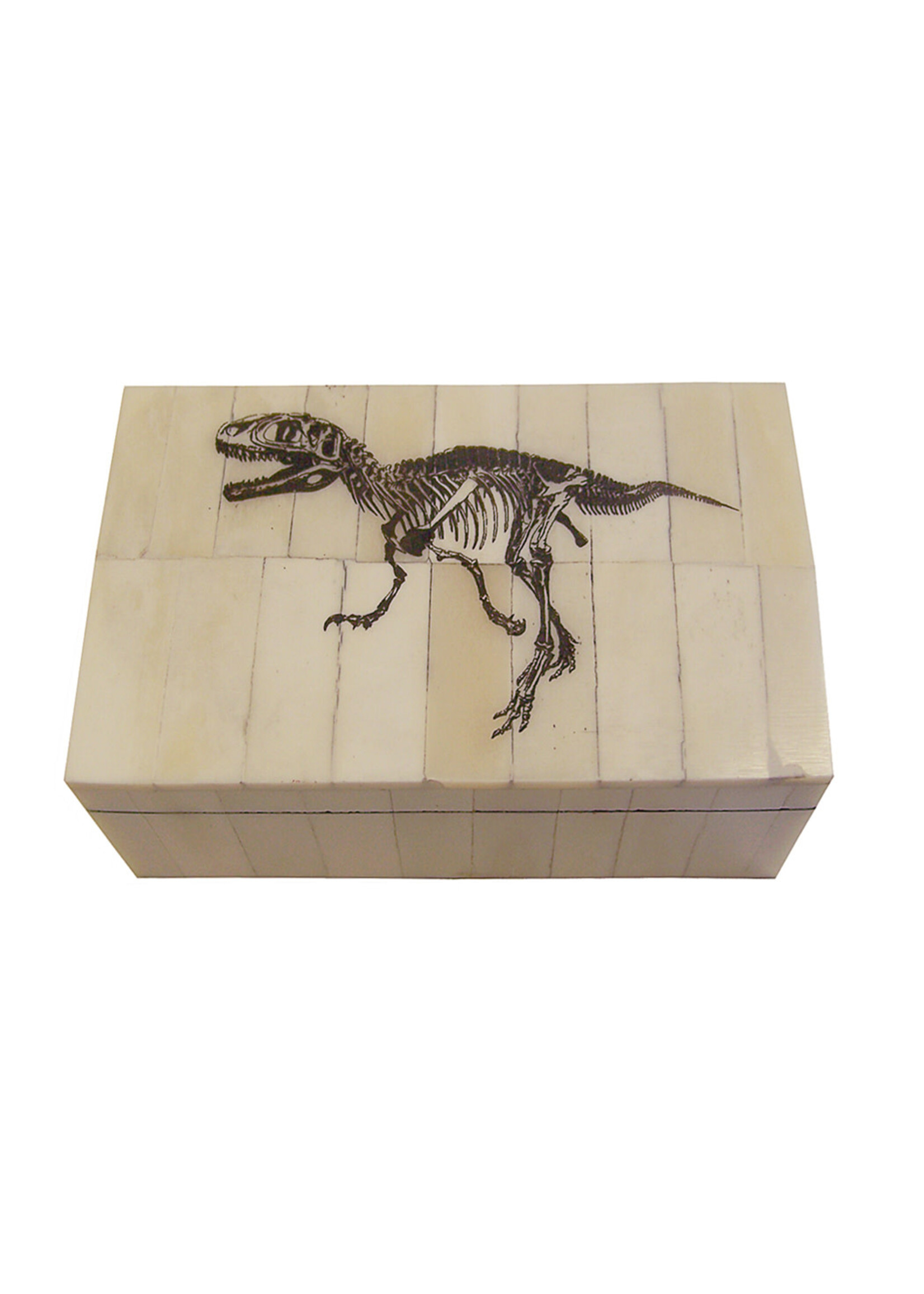 5-1/4″ T-Rex Authentic Etched Scrimshaw Bone Box