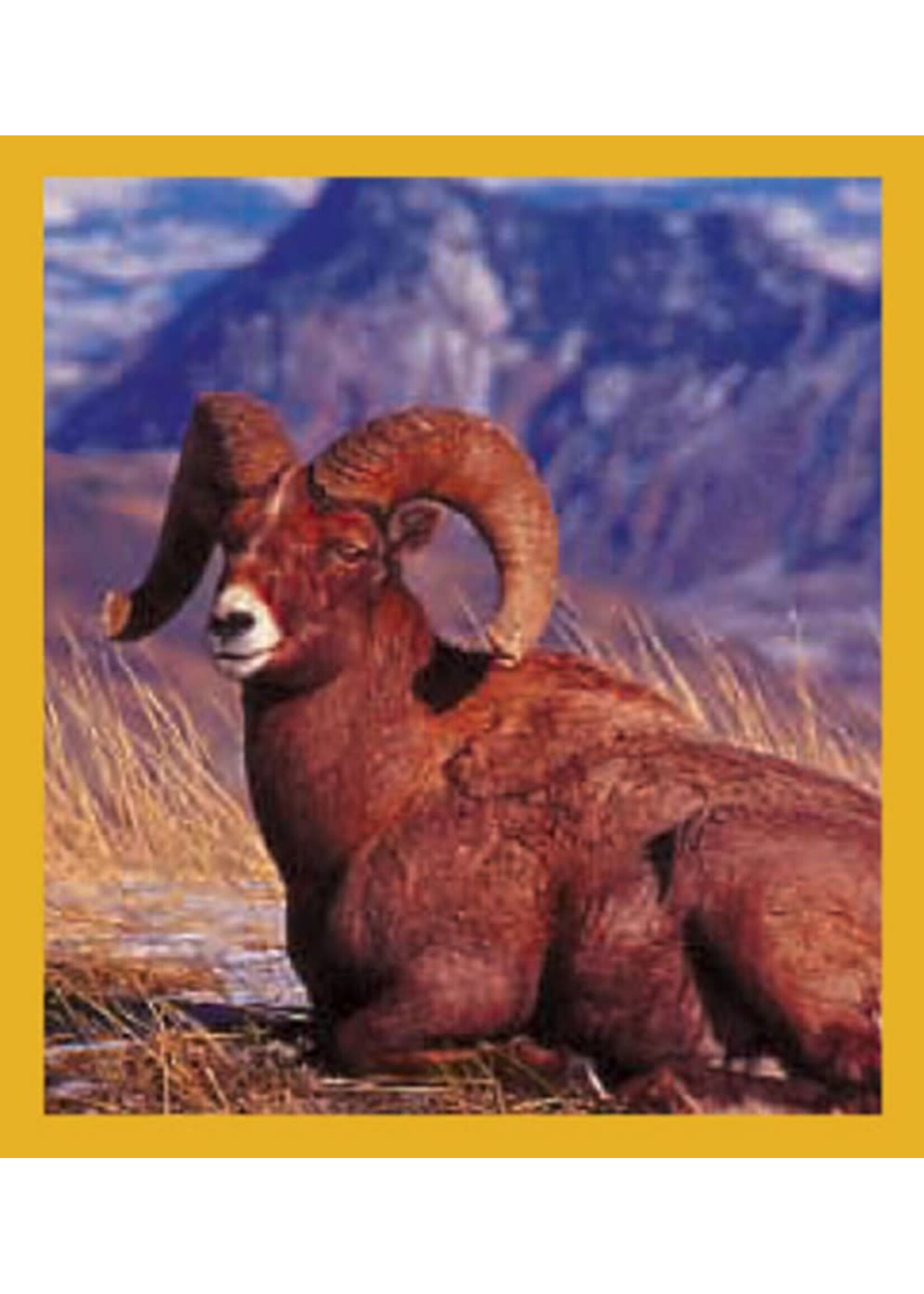 Bighorn Sheep - Magnetic Bookmark