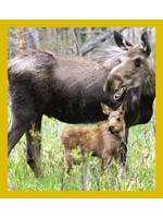 Moose With Calf - Magnetic Bookmark