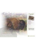 Brute Force Notecards