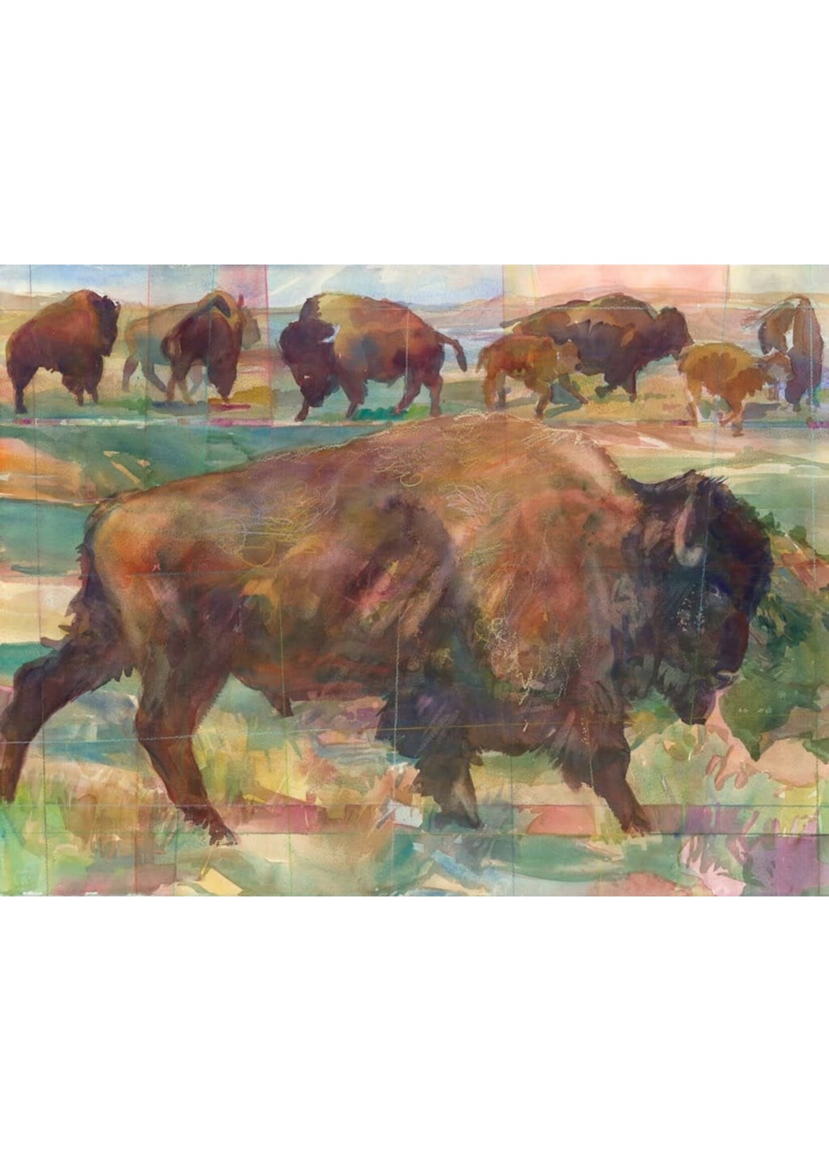 Bison Multipack - Notecard Set