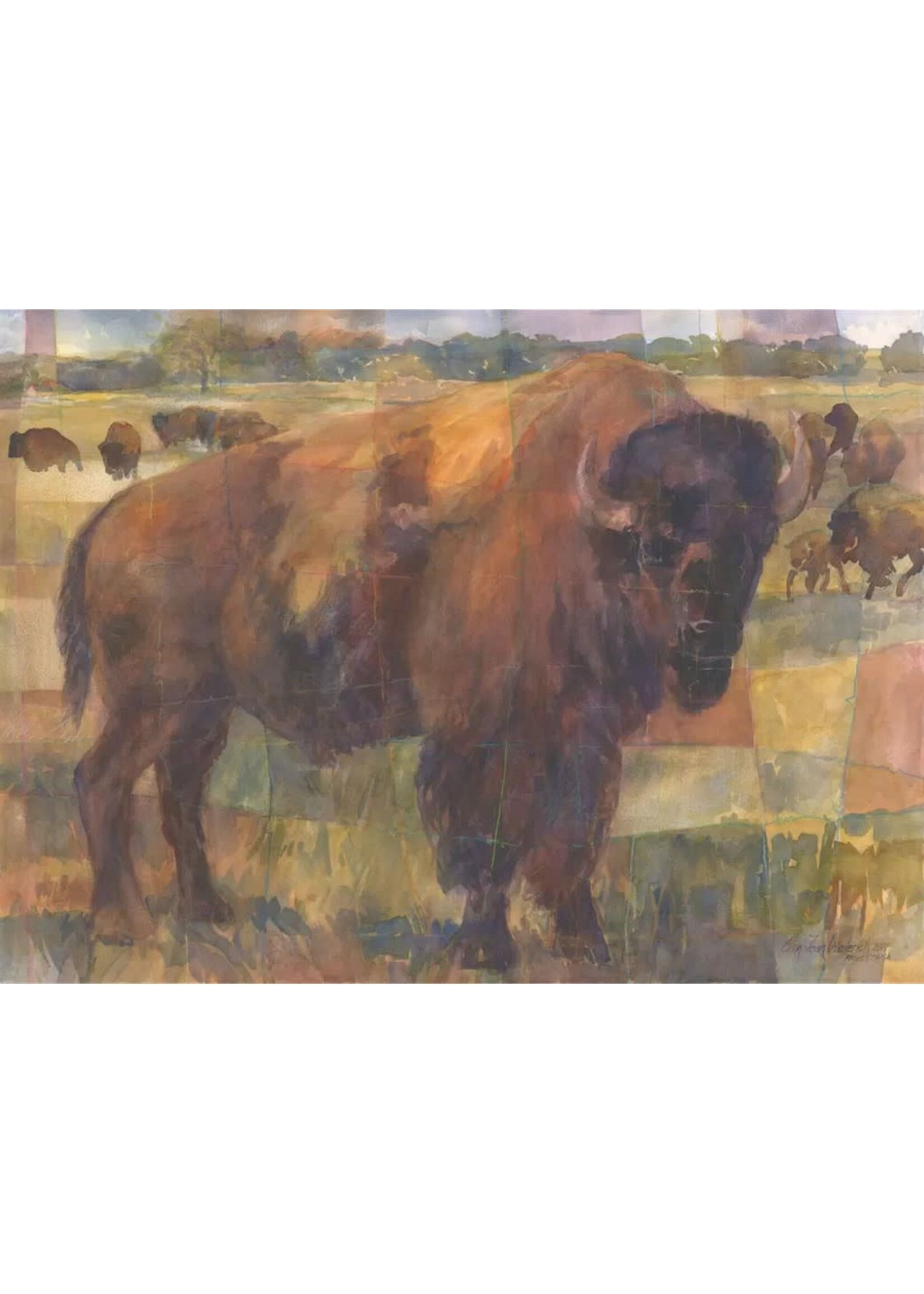 Bison Multipack Cards