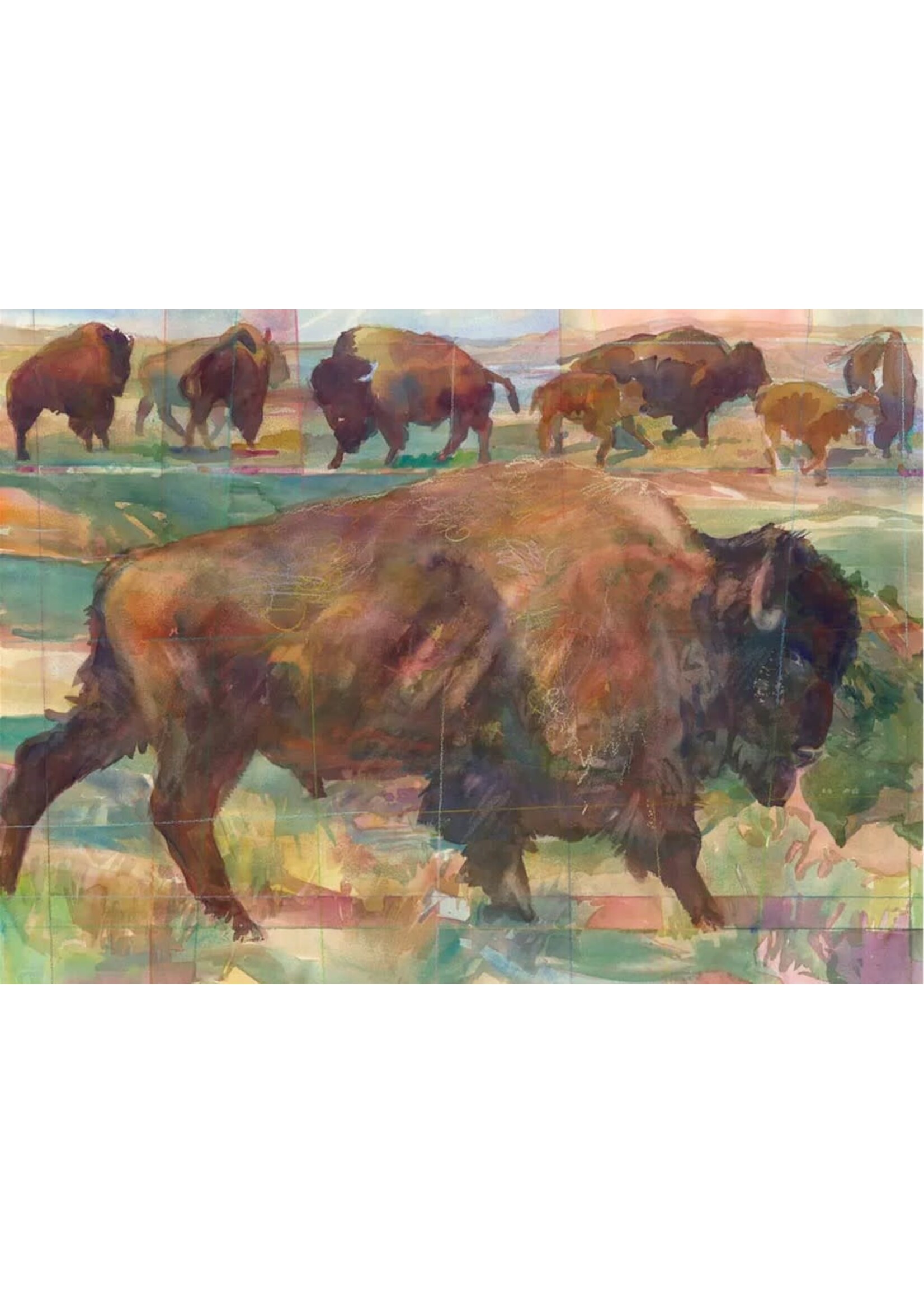 Bison Multipack Cards