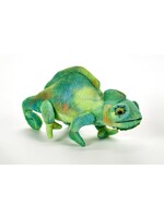 Wild Onez Wild Onez Chameleon 10"