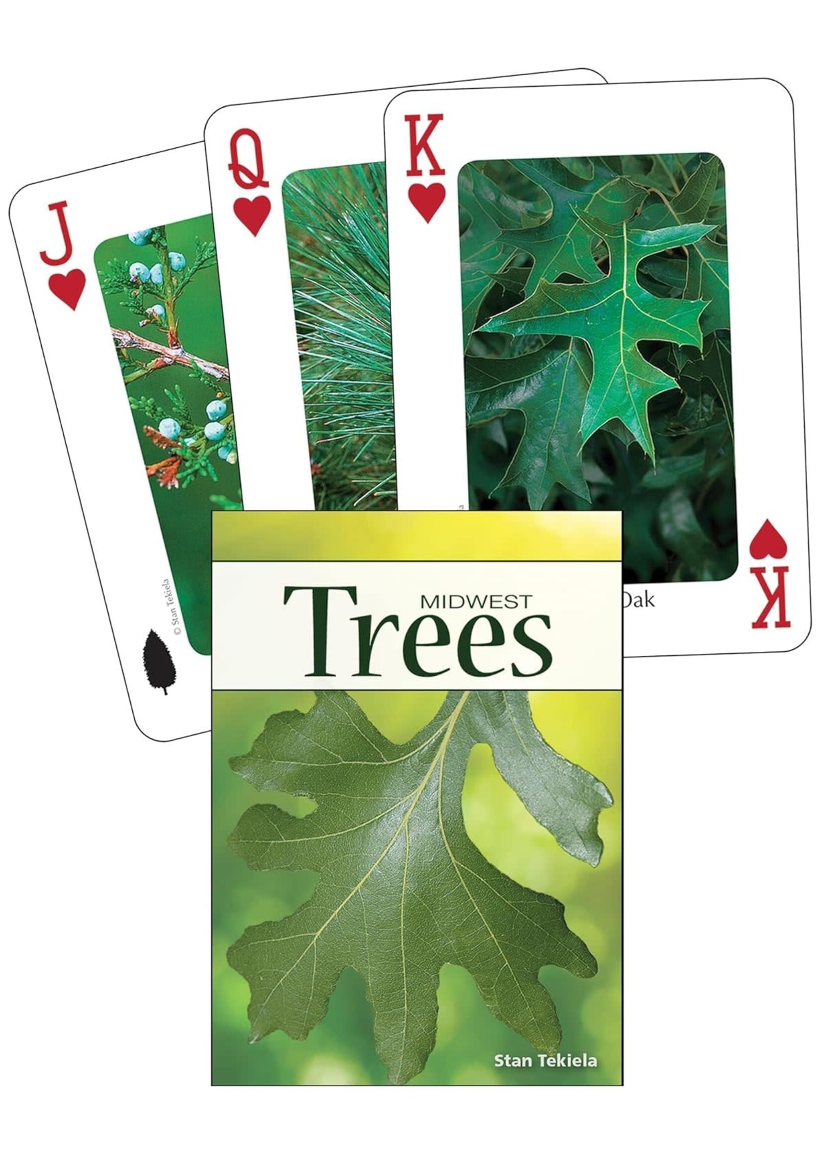 Trees of the Midwest Playing Cards