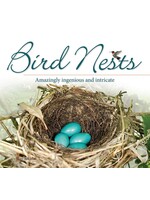 Bird Nests: Amazingly Ingenious and Intricate