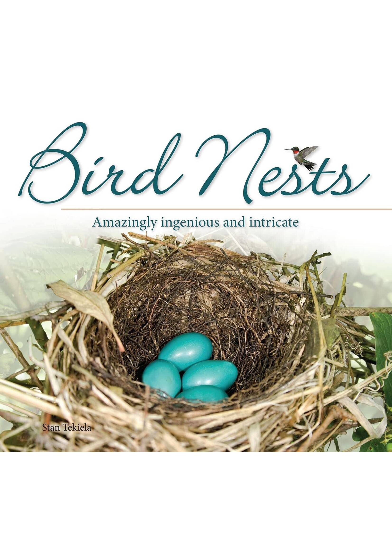 Bird Nests: Amazingly Ingenious and Intricate