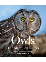 Owls: The Majestic Hunters