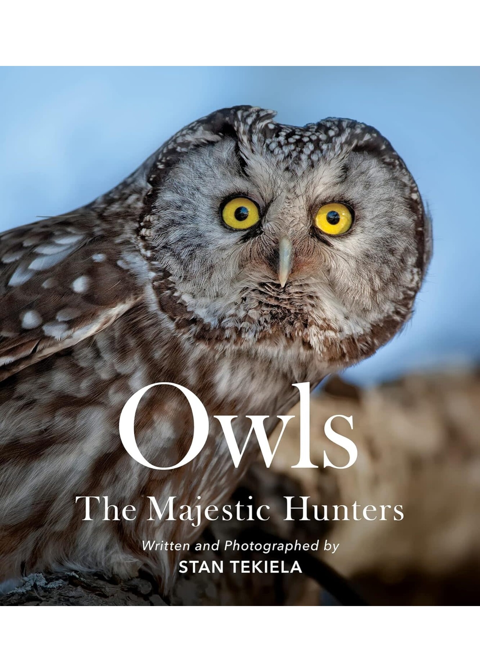 Owls: The Majestic Hunters