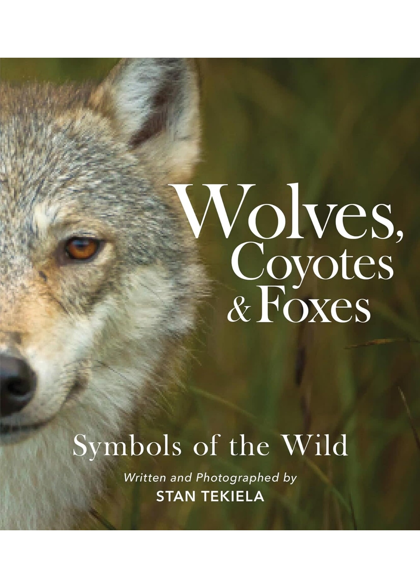 Wolves, Coyotes & Foxes: Symbols of the Wild