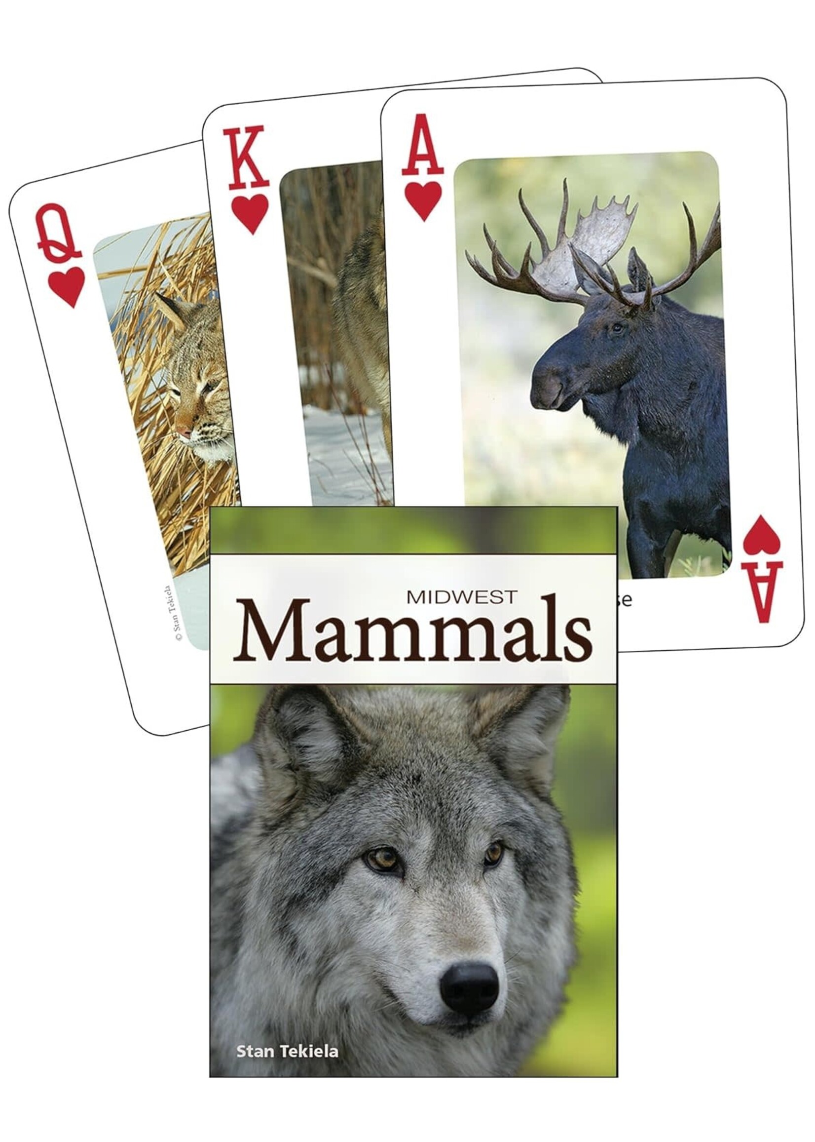 Mammals of the Midwest Playing Cards