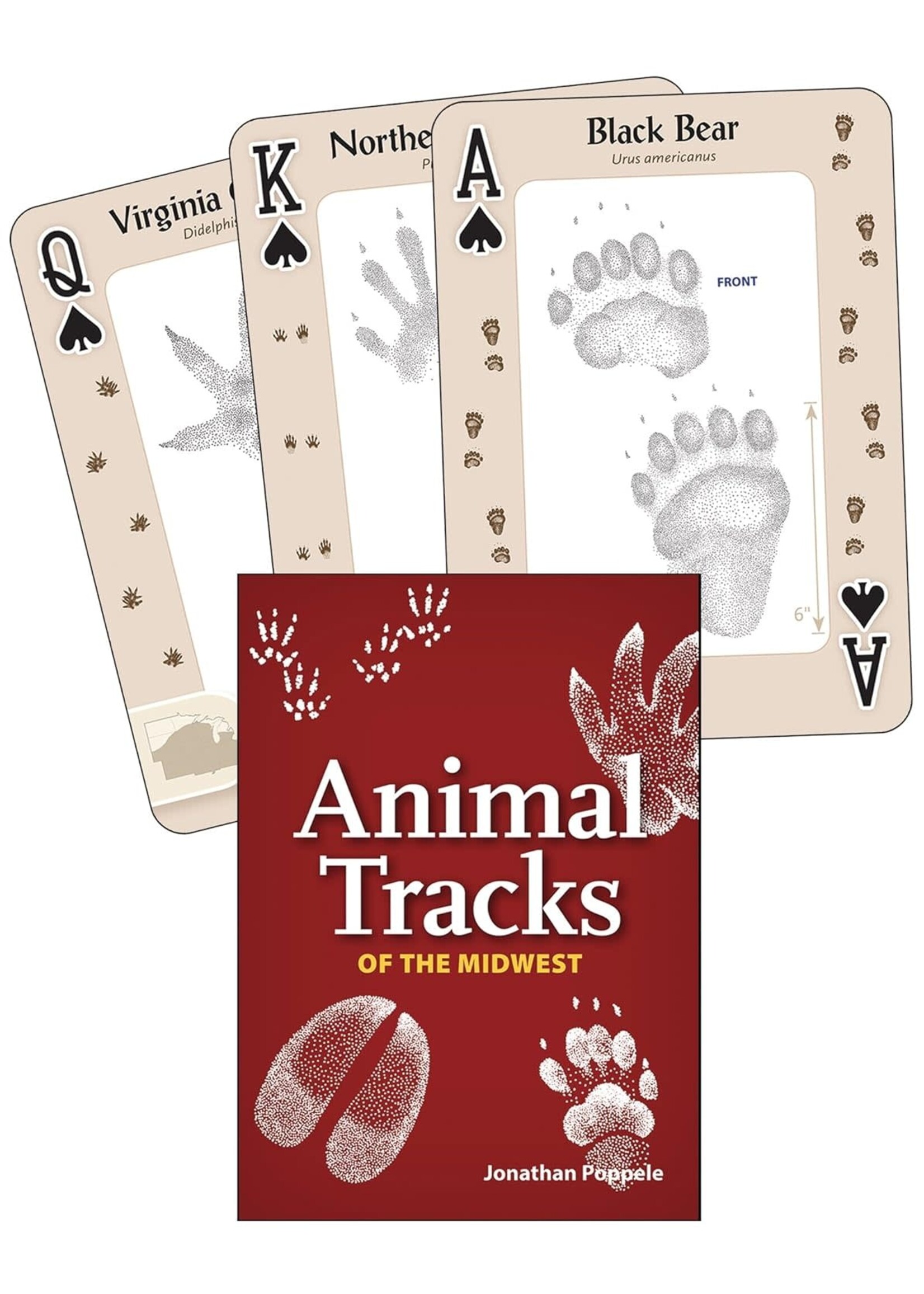 Animal Tracks of the Midwest Playing Cards